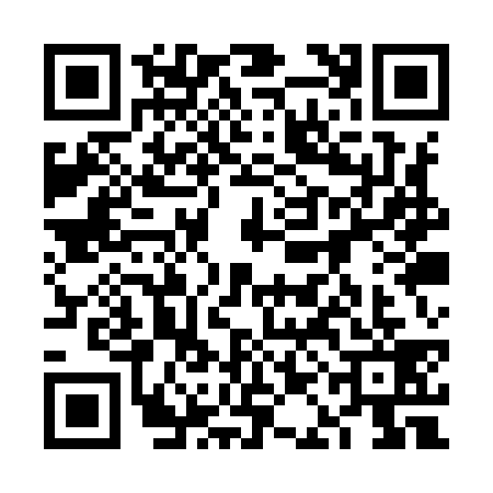 QR code for 6AAY395