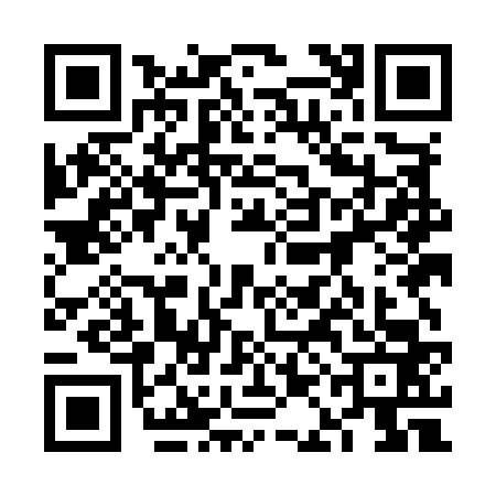 QR code for 6AMM638