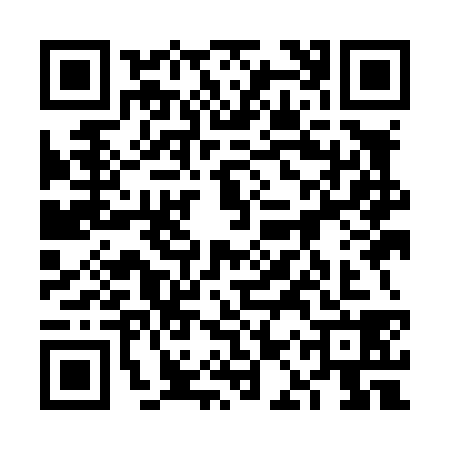 QR code for 6AYL386