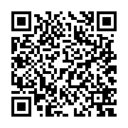 QR code for 6BDE295