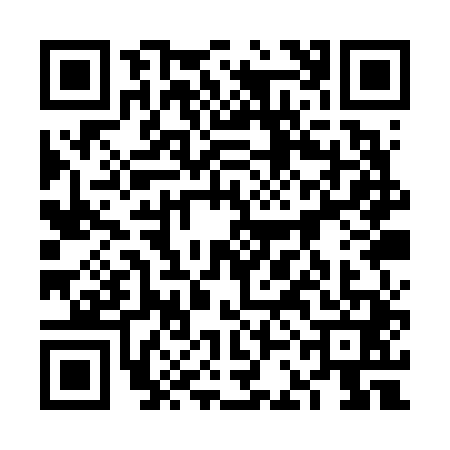 QR code for 6CAV419