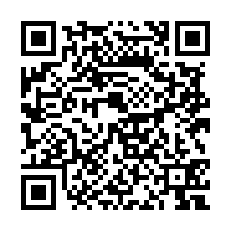 QR code for 6CMM313