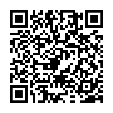 QR code for 6DGO313