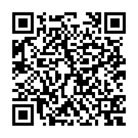 QR code for 6DHO313