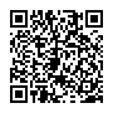 QR code for 6DII316