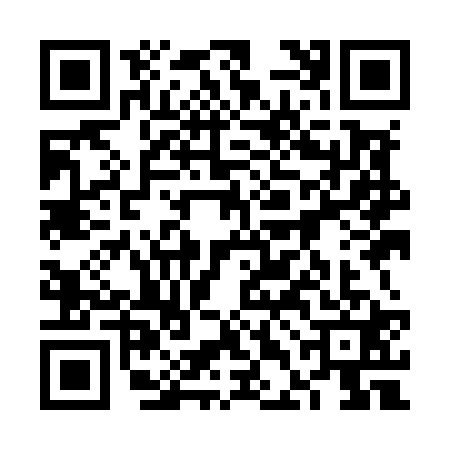 QR code for 6DIM217