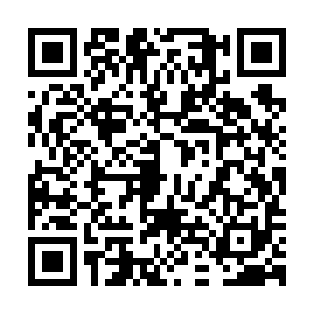 QR code for 6DIV916