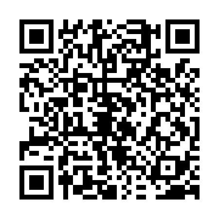 QR code for 6DQL398