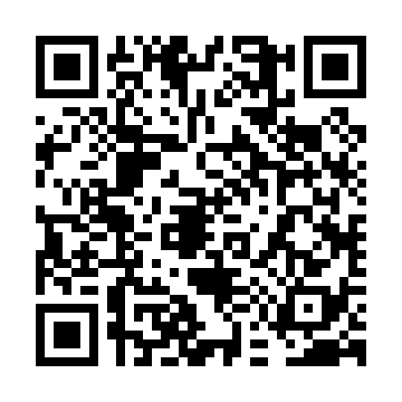 QR code for 6E20387