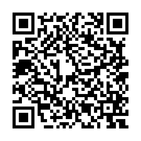 QR code for 6E38453