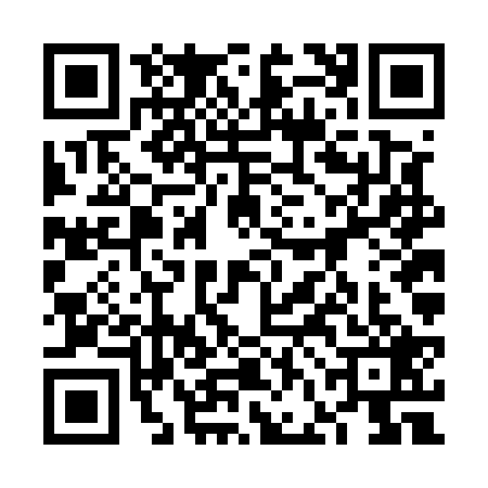 QR code for 6FFE295