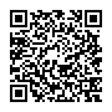 QR code for 6G50387