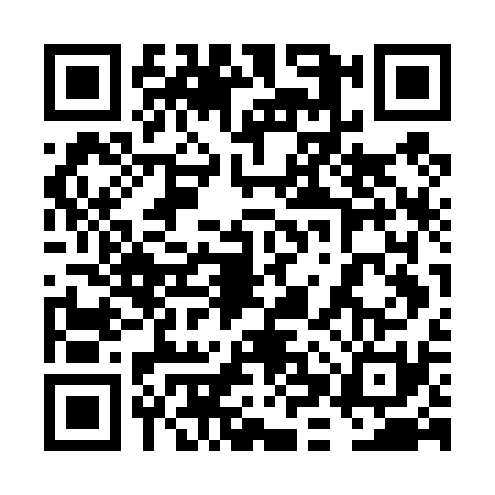 QR code for 6HWD313