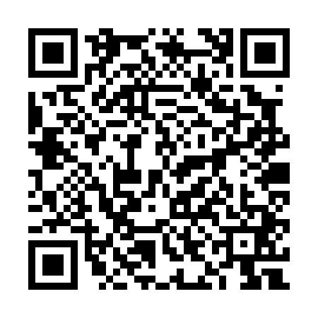 QR code for 6IBP413