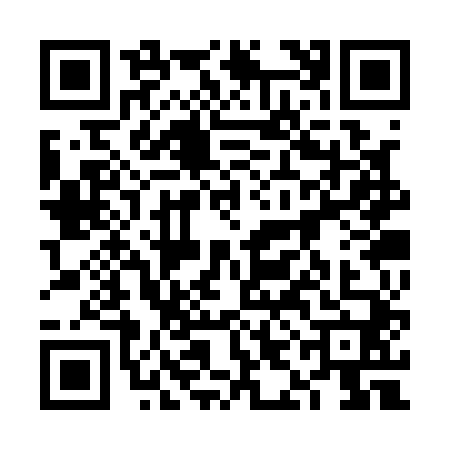QR code for 6ICQ409