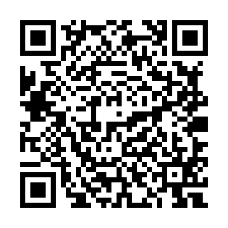 QR code for 6IEX953