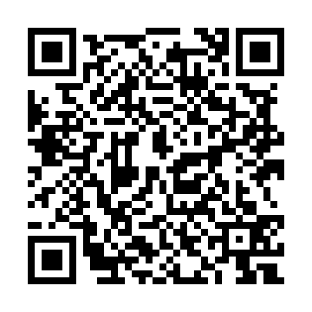 QR code for 6IIM332