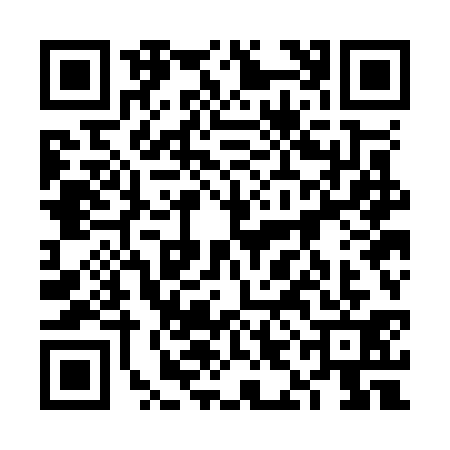 QR code for 6IOO315
