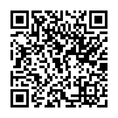 QR code for 6MCP383