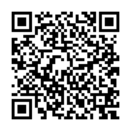 QR code for 6MLK009