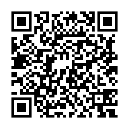 QR code for 6NPH381