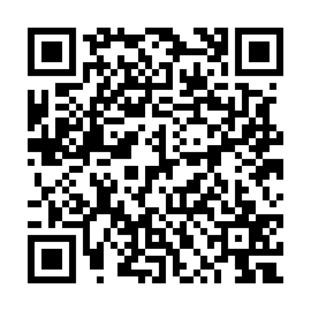 QR code for 6PAE375