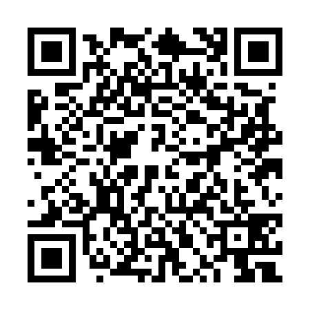 QR code for 6PAE394