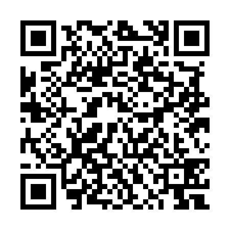 QR code for 6PAM390