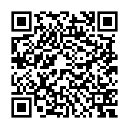 QR code for 6PAM734