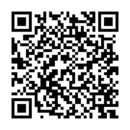 QR code for 6PAO575