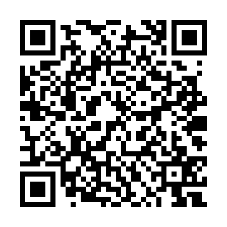 QR code for 6PDS378