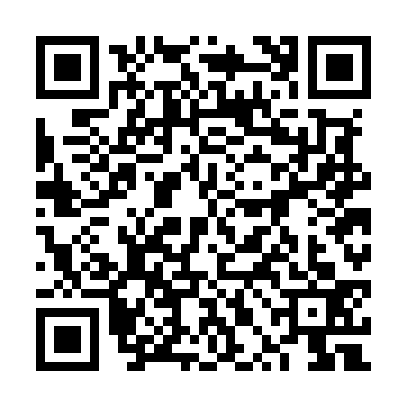 QR code for 6PGM335
