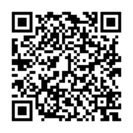 QR code for 6PII294