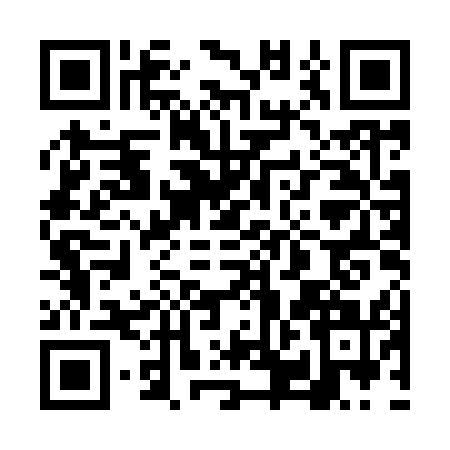 QR code for 6PNI519