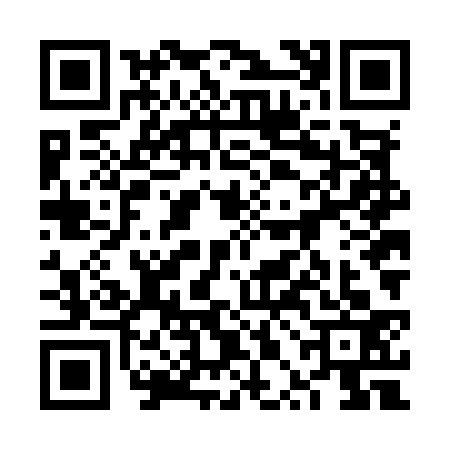 QR code for 6PNM339