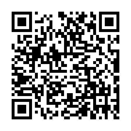 QR code for 6PNP317