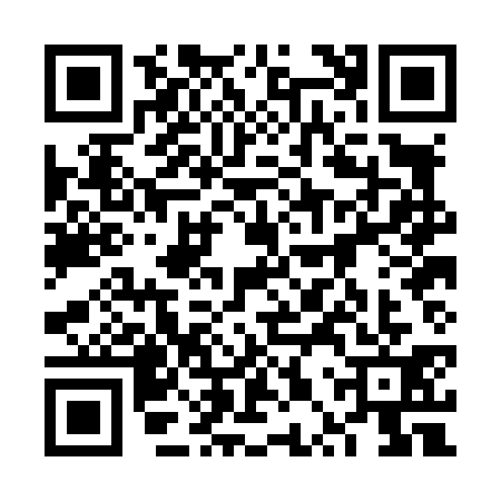QR code for 6PPL313