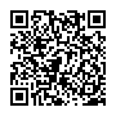 QR code for 6PUC913
