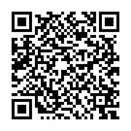QR code for 6PUN036