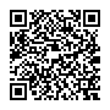 QR code for 6PUZ511
