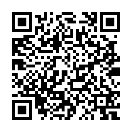 QR code for 6SAP228