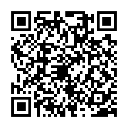 QR code for 6SFG383