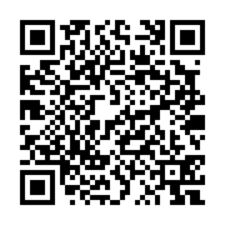 QR code for 6SOP313