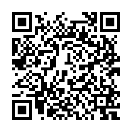 QR code for 6VIJ417