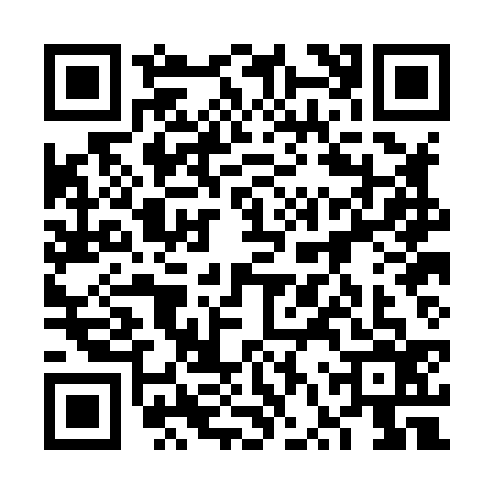 QR code for 6VPH368