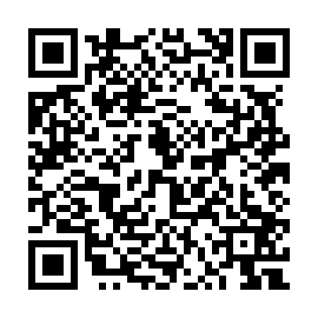 QR code for 6VPN036