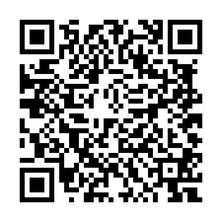 QR code for 6XDL009