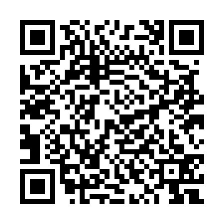 QR code for 6YAE338