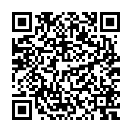 QR code for 6YZF495