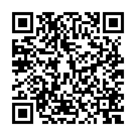 QR code for 6YZJ491